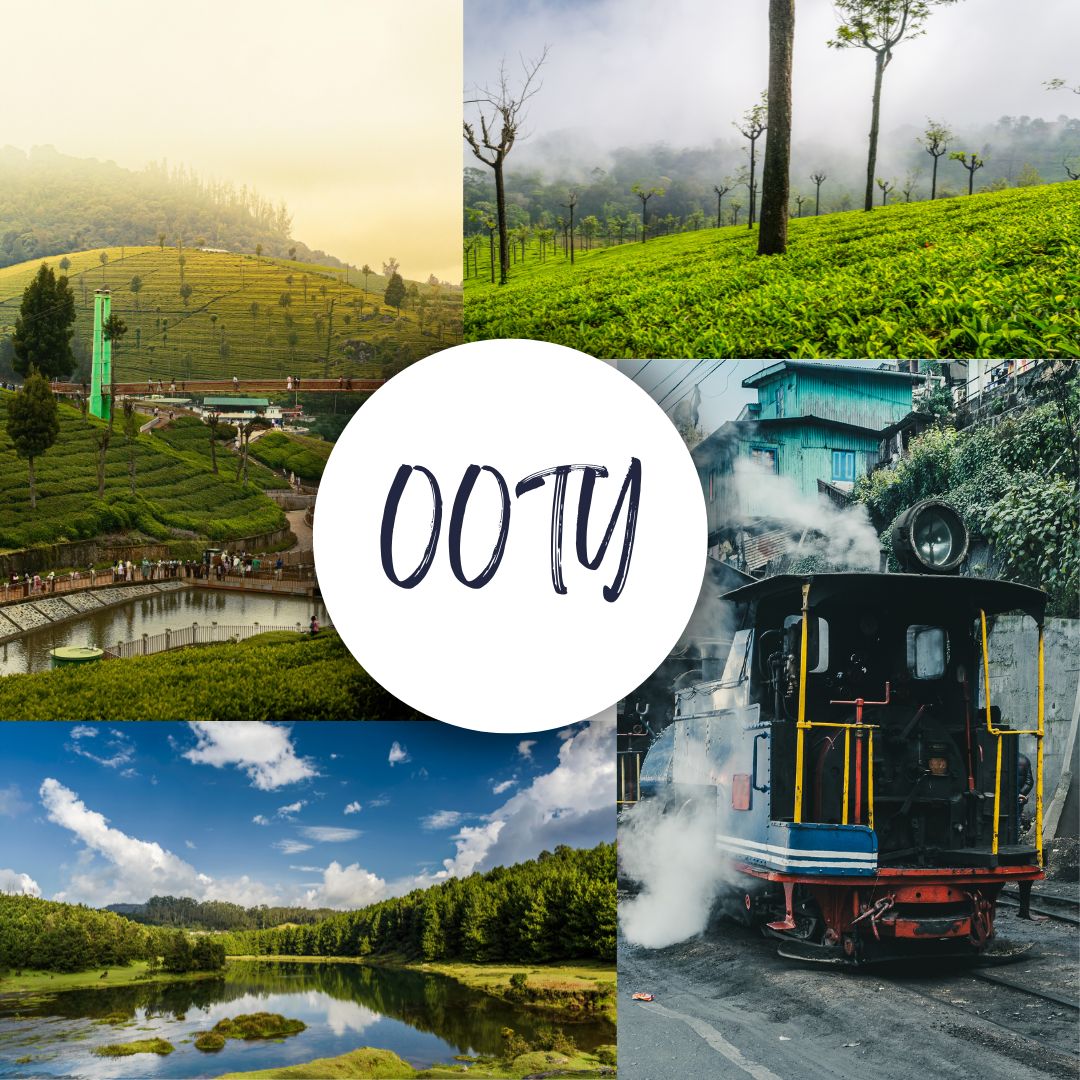 ooty2nd.jpg